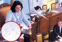 Šéfka Sněmovny Němcová se rozvášnila: Nečasovi poslala srdíčko!