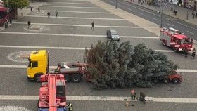 Vánoční strom se při instalaci zlomil.