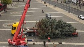 Vánoční strom se při instalaci zlomil.