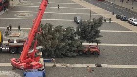 Vánoční strom se při instalaci zlomil.