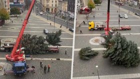 Vánoční strom se při instalaci zlomil.