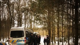 Policisté prohledávali asi kilometr čtvereční lesa na Kralovicku.