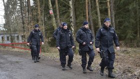 Policisté po oblevě prohledávají lesy na Kralovicku. Hledají pohřešovanou Míšu Muzikářovou.