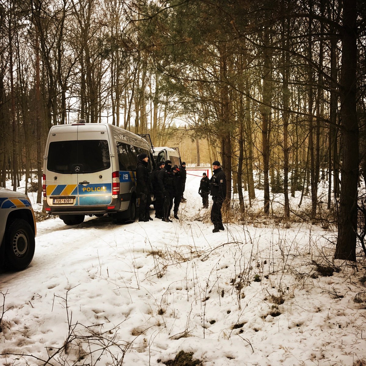 Policisté prohledávali asi kilometr čtvereční lesa na Kralovicku