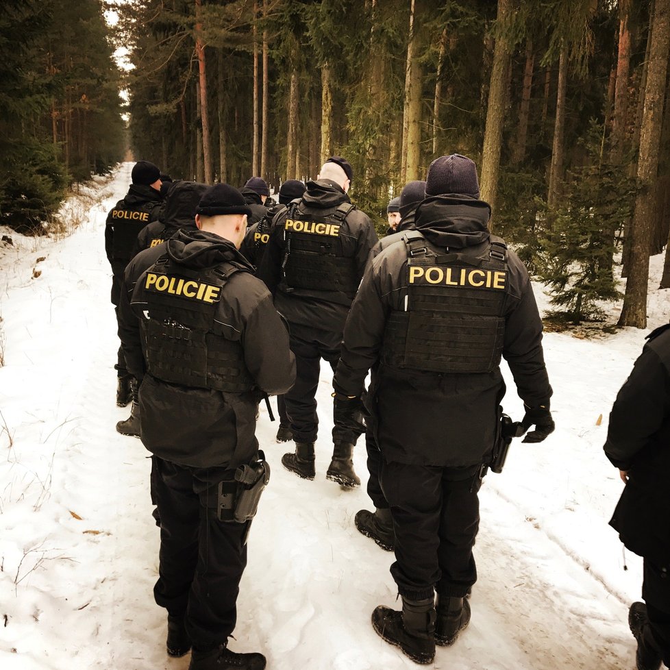 Policisté prohledávali asi kilometr čtvereční lesa na Kralovicku.