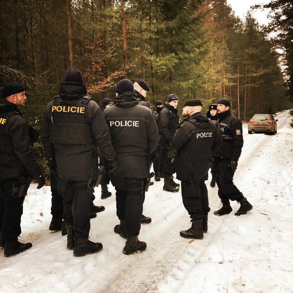 Policisté prohledávali asi kilometr čtvereční lesa na Kralovicku.