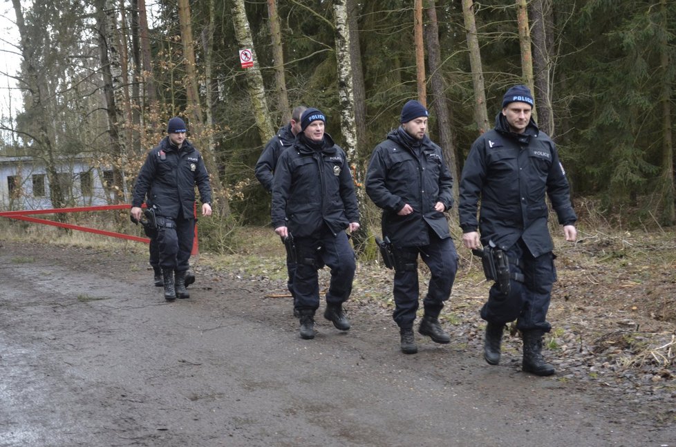 Policisté po oblevě prohledávají lesy na Kralovicku. Hledají pohřešovanou Míšu Muzikářovou.