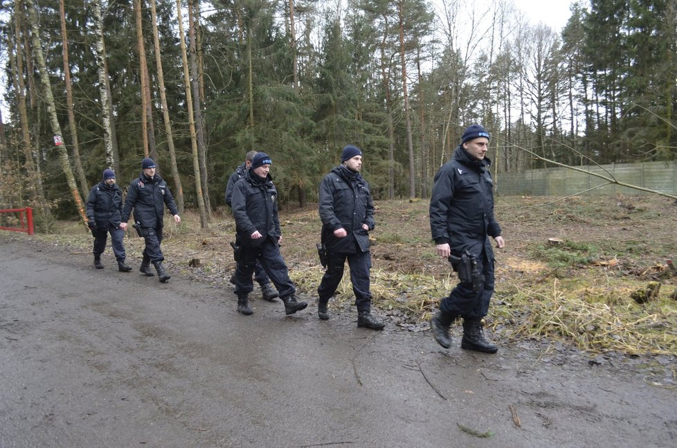 Policisté po oblevě prohledávají lesy na Kralovicku. Hledají pohřešovanou Míšu Muzikářovou.