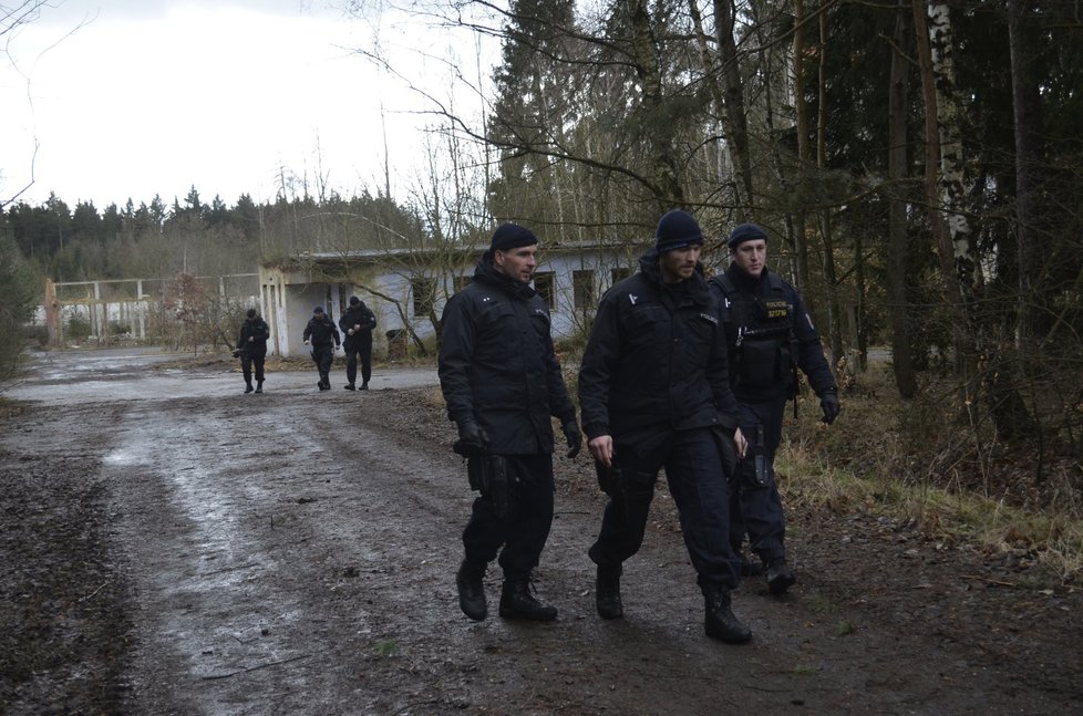 Policisté po oblevě prohledávají lesy na Kralovicku. Hledají pohřešovanou Míšu Muzikářovou.