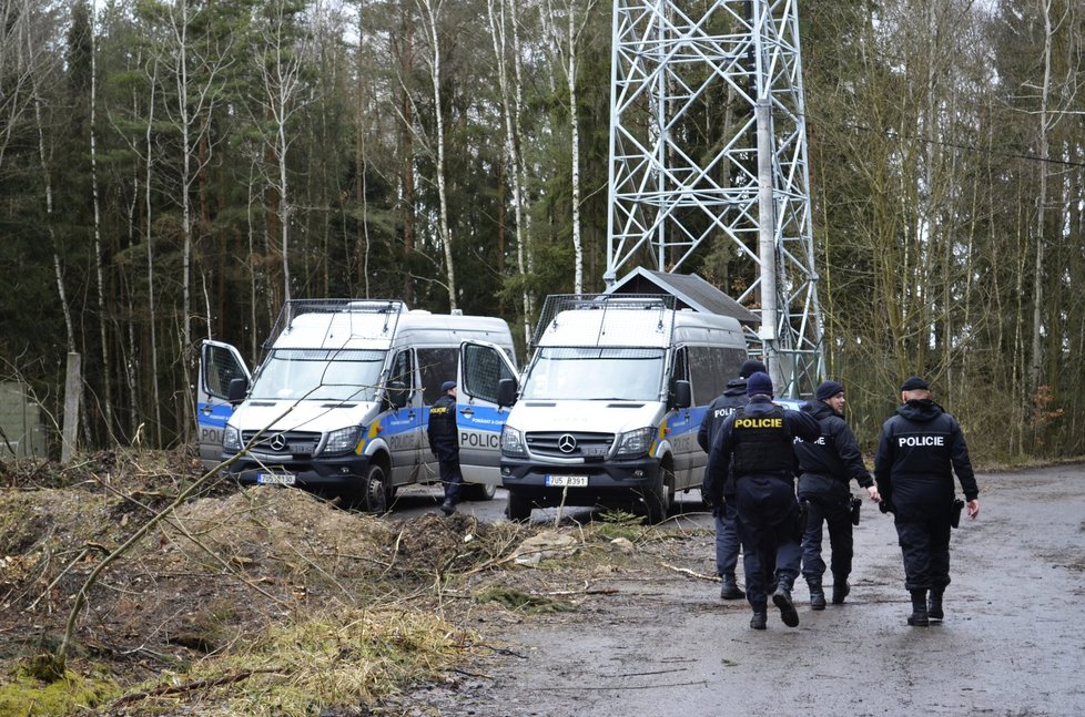 Policisté po oblevě prohledávají lesy na Kralovicku. Hledají pohřešovanou Míšu Muzikářovou.