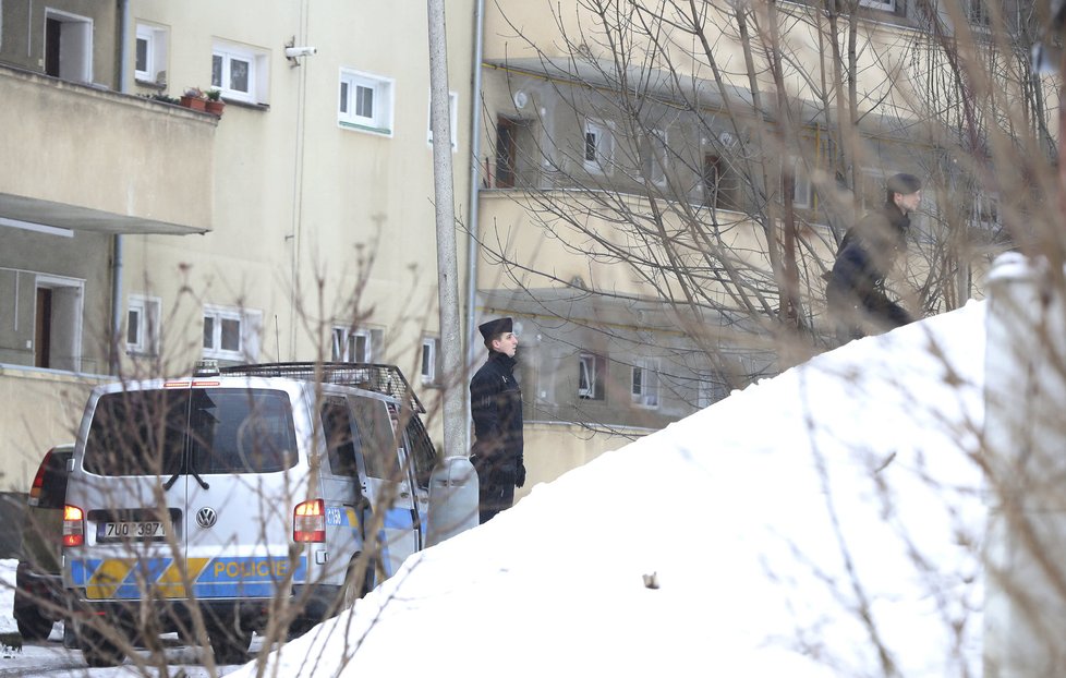 Policisté prohledávali svah naproti domu.