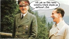 Jeden z antisemitských vtipů z profilu matky Míši