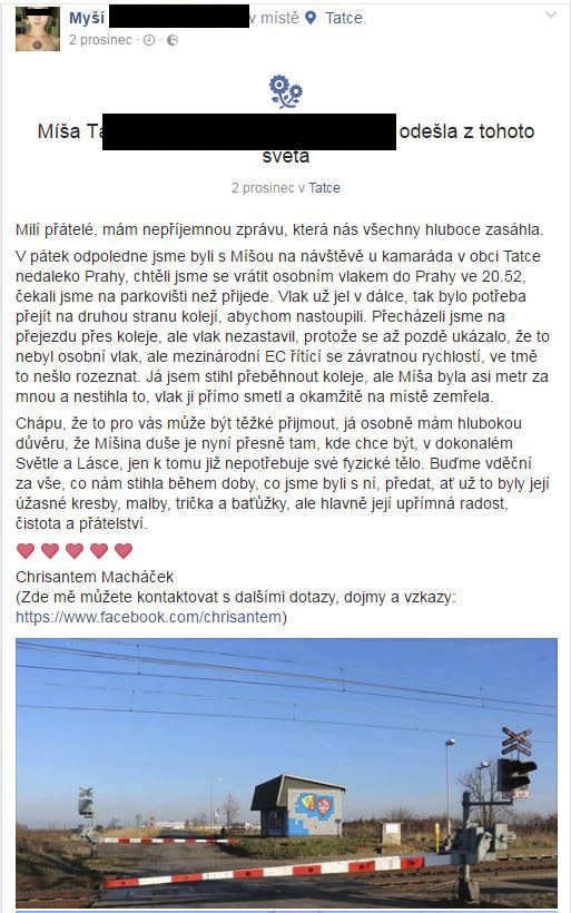 Tímto statusem oznámil Macháček na Facebooku smrt své přítelkyně Míši.