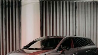 Mitsubishi Grandis Mitsubishi Grandis