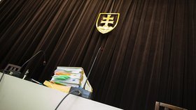 Slovenský soud zprostil poslance Mizíka obžaloby za xenofobní statusy