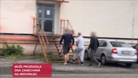 Policie dopadla muže, který chtěl v Mladé Boleslavi znásilnit ženu.