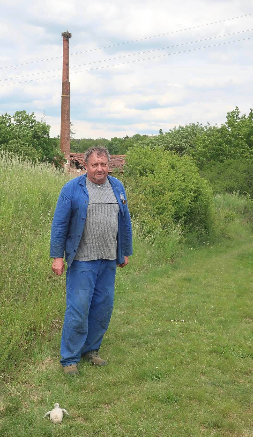 Malého čápa objevil Václav Muhr při sekání trávy asi 100 metrů od komína s hnízdem.