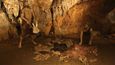 Nedaleko Litovle lze navštívit Mladečské jeskyně. Významné archeologické výzkumy tady prováděl v 19. století kurátor sbírky vídeňského přírodovědného muzea. Bylo tu nalezeno pohřebiště člověka kromaňonského a šlo o nejsevernější sídliště moderních lidí rodu Homo sapiens sapiens v Evropě. V tzv. Dómu mrtvých si je dnes možné prohlédnout výpravnou expozici o Kromaňoncích.