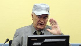 Ratko Mladič je v Haagu souzen za genocidu i další válečné zločiny. Jeho proces by měl skončit v roce 2016.