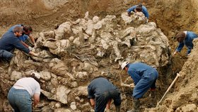 Dělníci odkrývají masový hrob v Sebrenici