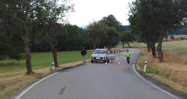 Mladík (†19) na Strakonicku ležel na silnici, zabilo ho projíždějící auto.