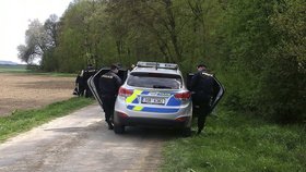 Na cestě u Mladé Boleslavi našli mrtvého a těžce zraněného. Policie už dopadla podezřelého.