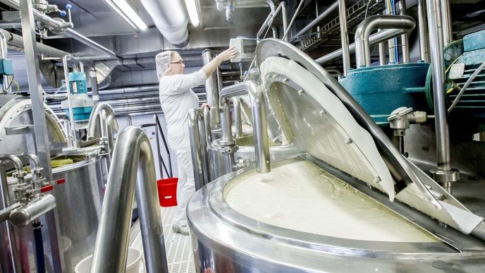 Do mlékárenské skupiny Interlacto patří podniky Bohemilk, Mlékárna Olešnice a Moravia Lacto. (ilustrační foto)