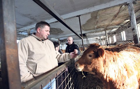 Čeští mlékaři: Umíráme! Ceny jsou likvidační a v obchodech je špína