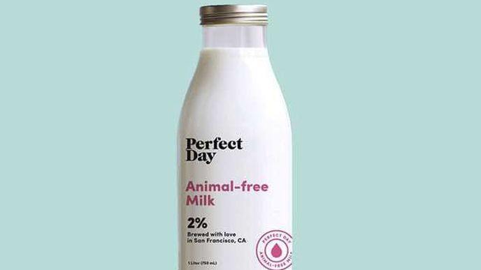 Umělé mléko prý chutná jako klasické mléko od krávy.