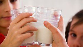 Podpora konzumace mléka ve školách začala už na konci minulého století. Opatření na podporu konzumace ovoce navrhla v roce 2006 Evropská unie, v Česku funguje od jara 2010.