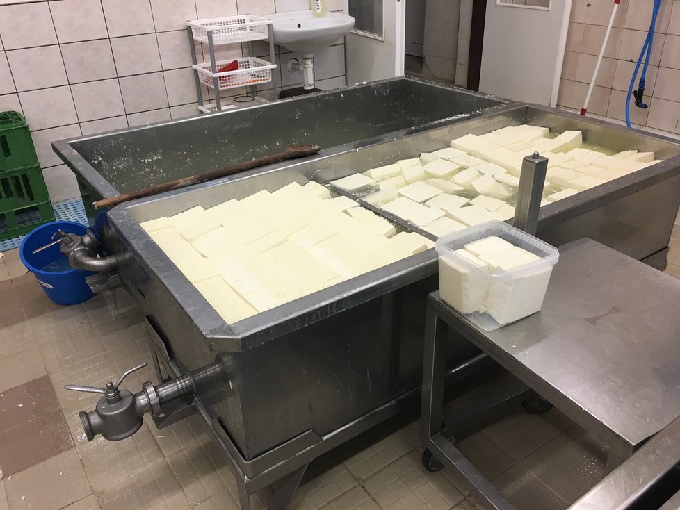 Farma: Tak vypadá balkánský sýr