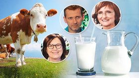 Hleny z mléka? Odborník promluvil o „zácpě v hlavě“ i alergii a antikampani