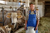 Proč stojí mléko dvacku, když farmářům platí 6 Kč? Kam mizí 14 korun z každého litru?