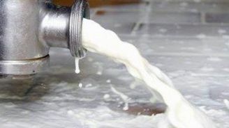 Stát odmítl označování mléčných výrobků dle země původu, potravináře tím rozzlobil