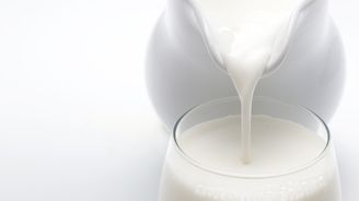 Čtyři firmy a mlékárenský svaz mají vrátit přes 80 milionů z evropských dotací