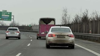 Mlhovkář Mlhovkář