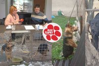Speedy by mohl dnes žít: Úvaz, na kterém se uškrtil, je konečně zákonem zakázán