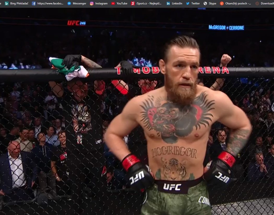 Conor McGregor na UFC 246