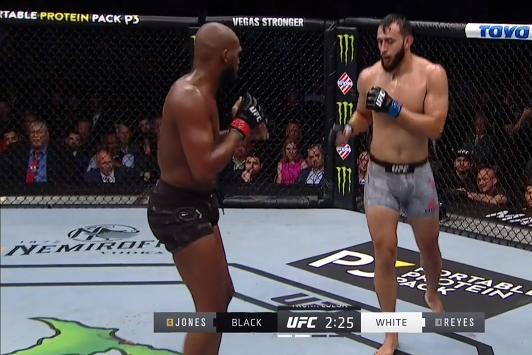 Průběh zápasu Jon Jones vs. Dominick Reyes.