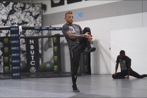 MMA zápasník T. J. Dillashaw