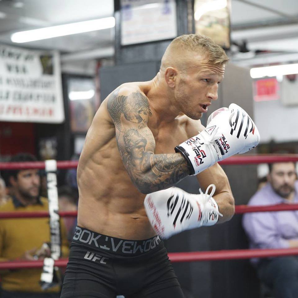 MMA bijec T.J. Dillashaw byl usvědčen z dopingu