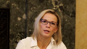 Představení novely stavebního zákona novinářům, ministryně Zuzana Mrázová