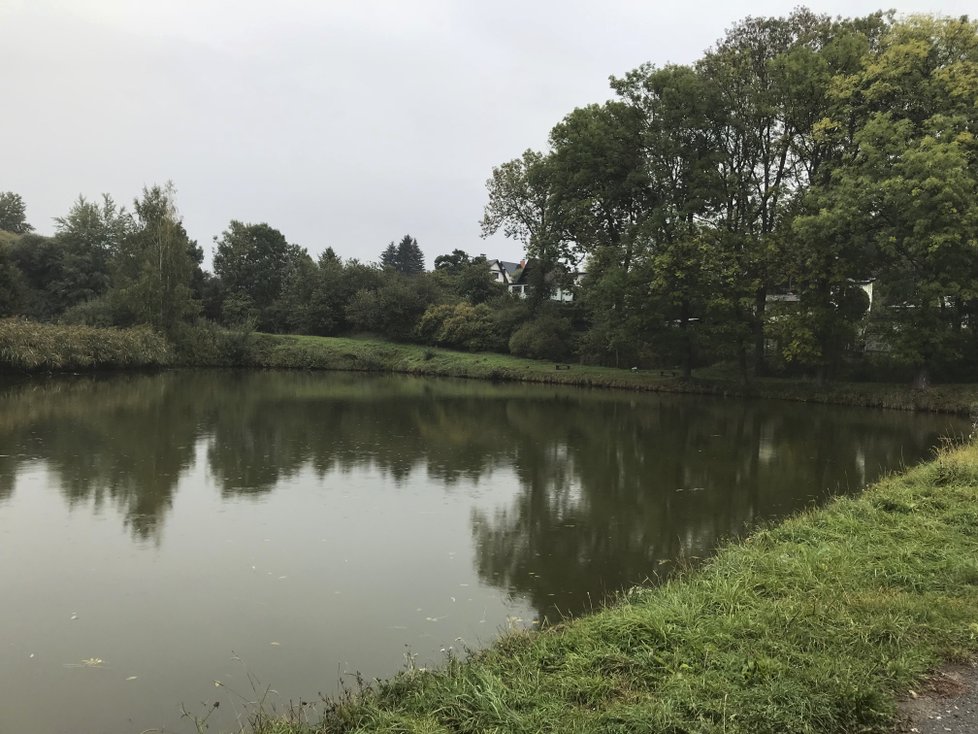 Místní rybník nedaleko pozemku, o kterém Miloš Zeman uvažuje.
