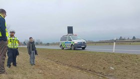 Na dálnici D10 u Mnichova Hradiště zabilo auto mladého vlka