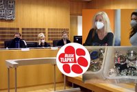 Překupnice s umírajícími štěňaty dostaly podmínky. Zoufalí záchranáři: Je to výsměch soudce!