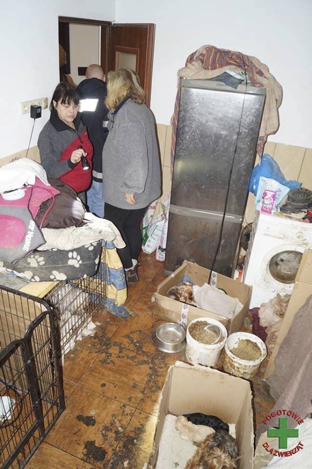 Policie zasahovala u množitele, který měl ve 3 místnostech 170 psů a koček.