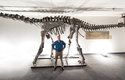 Býložravý Moabosaurus  byl dlouhý kolem deseti metrů