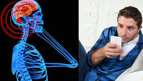 Pravda o účincích mobilů na lidský mozek. Hrozí vám rakovina?