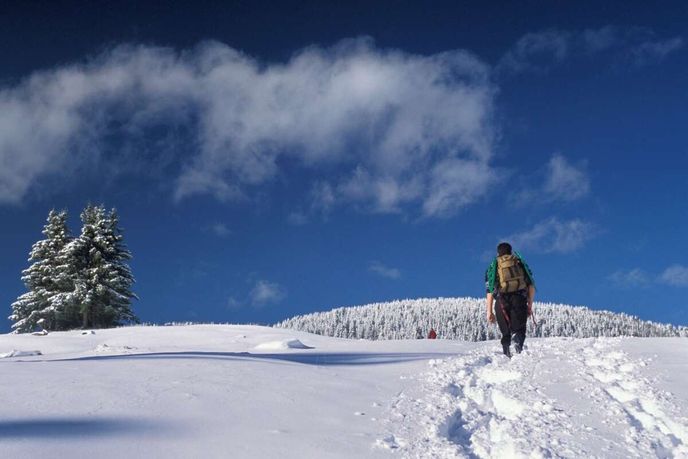 V oblasti nejsou žádné lyžařské areály, přírodu si můžete užít v naprostém klidu. V oblasti nejsou žádné lyžařské areály, přírodu si můžete užít v naprostém klidu.