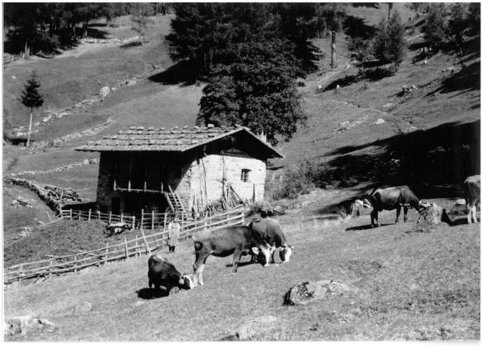 Pohled na údolí Valle dei Mocheni (nedatováno) Pohled na údolí Valle dei Mocheni (nedatováno)